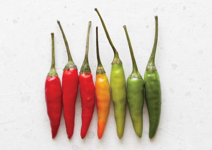 Revel's Secret Sauce for Health Engagement