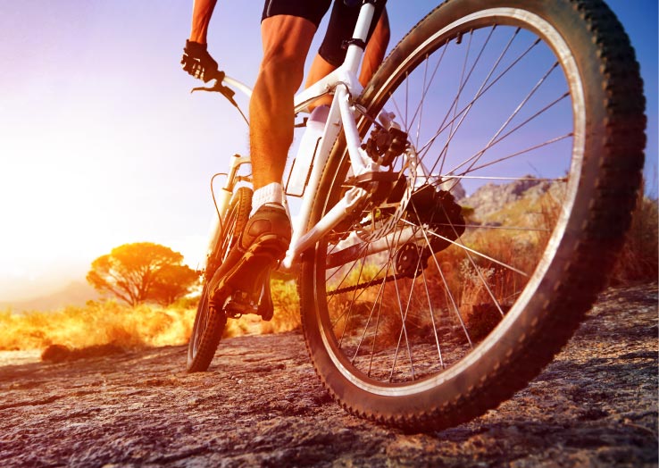 4 Critical Components of Effective Health Action Platforms
